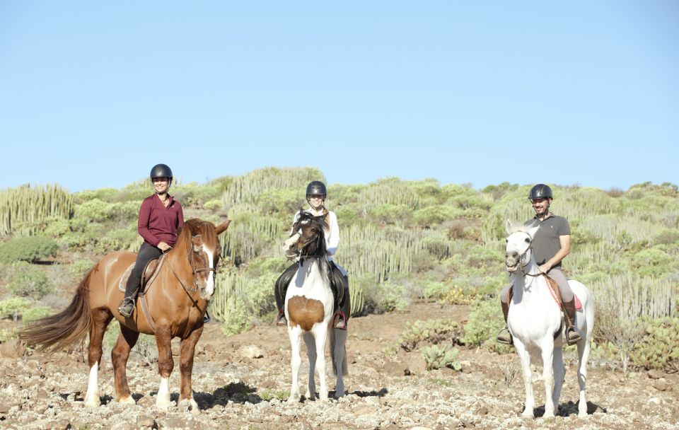 El Salobre: Horse Riding Adventure with Transfer Options - Who This Ride Fits Best (and Who Should Rethink It)