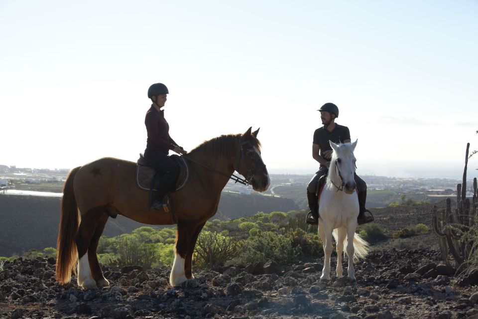 El Salobre: Horse Riding Adventure with Transfer Options - Price and Value: What $75 Buys You on Gran Canaria