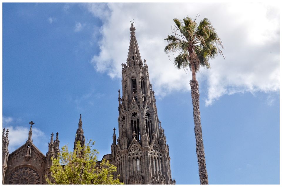 From Las Palmas: Full-Day Tour of the North - Key things I’d zero in on