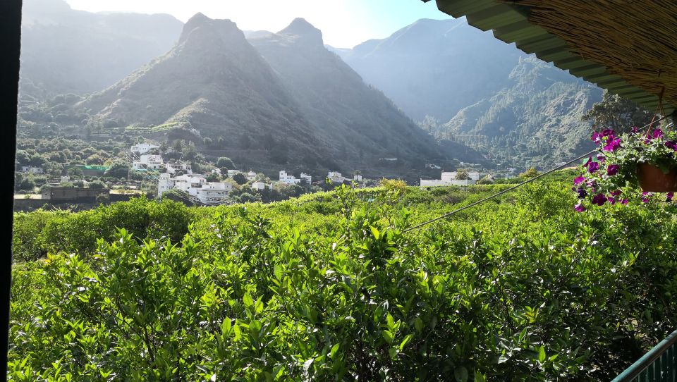 From Las Palmas: Full-Day Tour of the North - Wine and cheese tasting: optional, but plan your schedule if you choose it