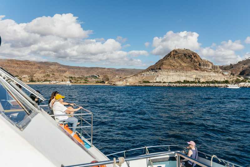 From Las Palmas: Highlights of Gran Canaria Day Tour - Key things I’d prioritize
