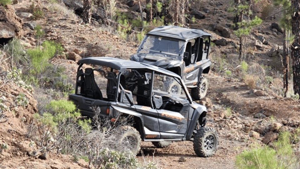 From Maspalomas: Volcanic Landscapes 4-Seater Buggy Tour - The 2-hour route: volcanic tracks, sand, and tropical scenery