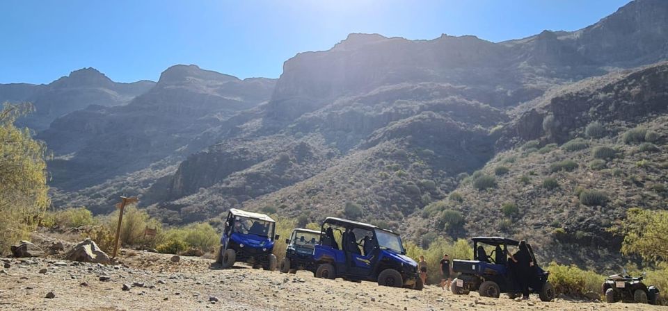 From Maspalomas: Volcanic Landscapes 4-Seater Buggy Tour - Your guide and the island story: history without ruining the fun