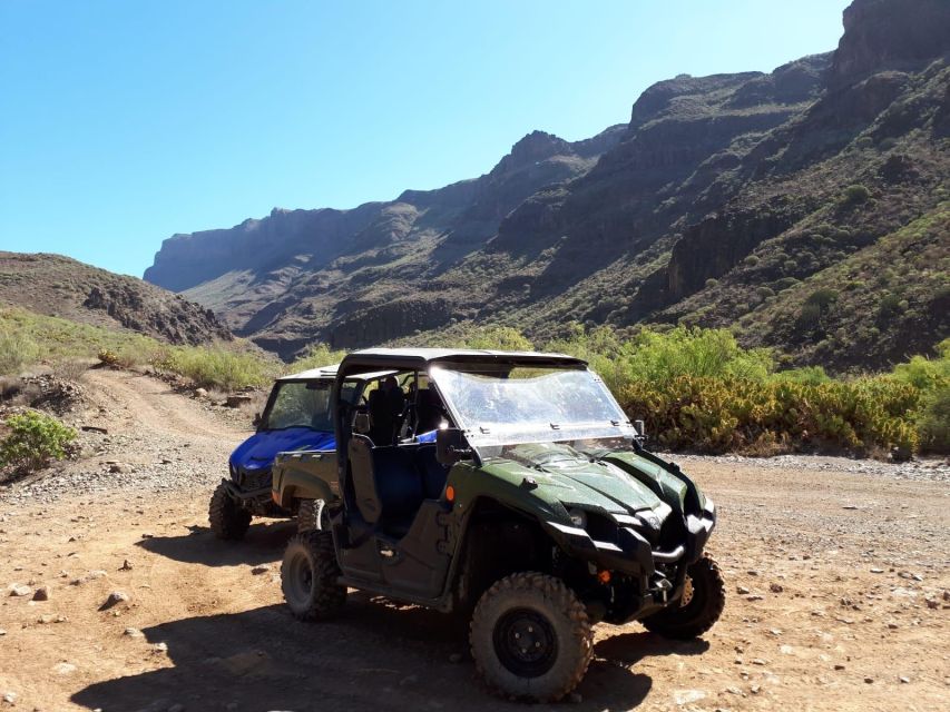 From Maspalomas: Volcanic Landscapes 4-Seater Buggy Tour - What to bring (and what not to)