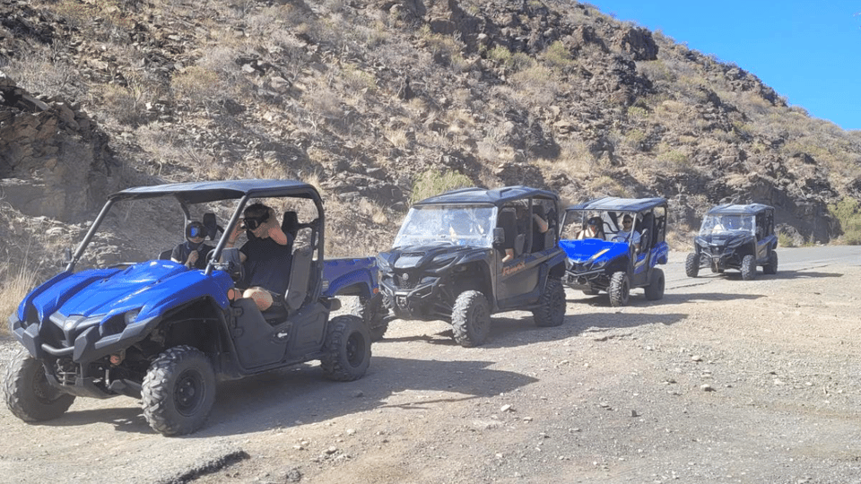 From Maspalomas: Volcanic Landscapes 4-Seater Buggy Tour - Who should book this buggy tour from Maspalomas?