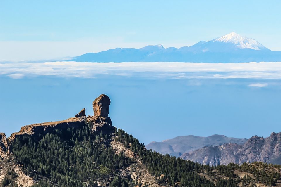 From Mogán/Maspalomas/Arguineguín: Gran Canaria Day Tour - Practical Tips for a Smoother Day