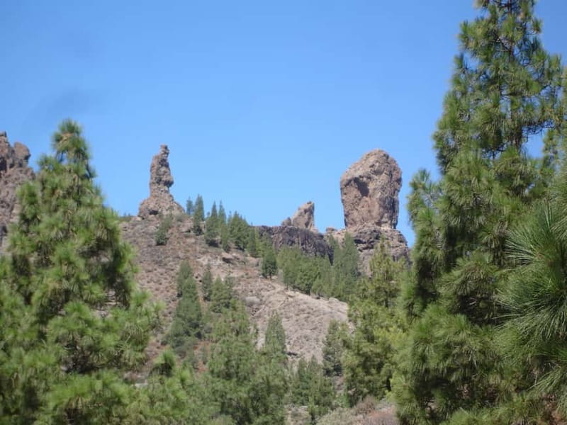 From Palmas: Pico de las Nieves & Roque Nublo Full-Day Trip - Bandama Caldera: A Volcano Stop Before the Main Act
