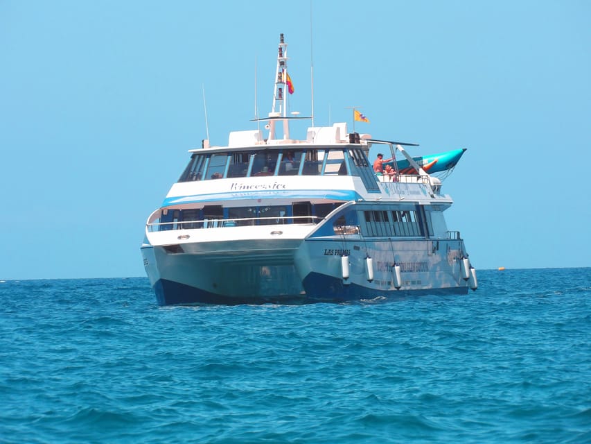 From Puerto Rico: Boat trip along the coast w/ Food & Drinks - The Anchored Bay Stop: Lunch, Underwater Vision, and Real Swim Time