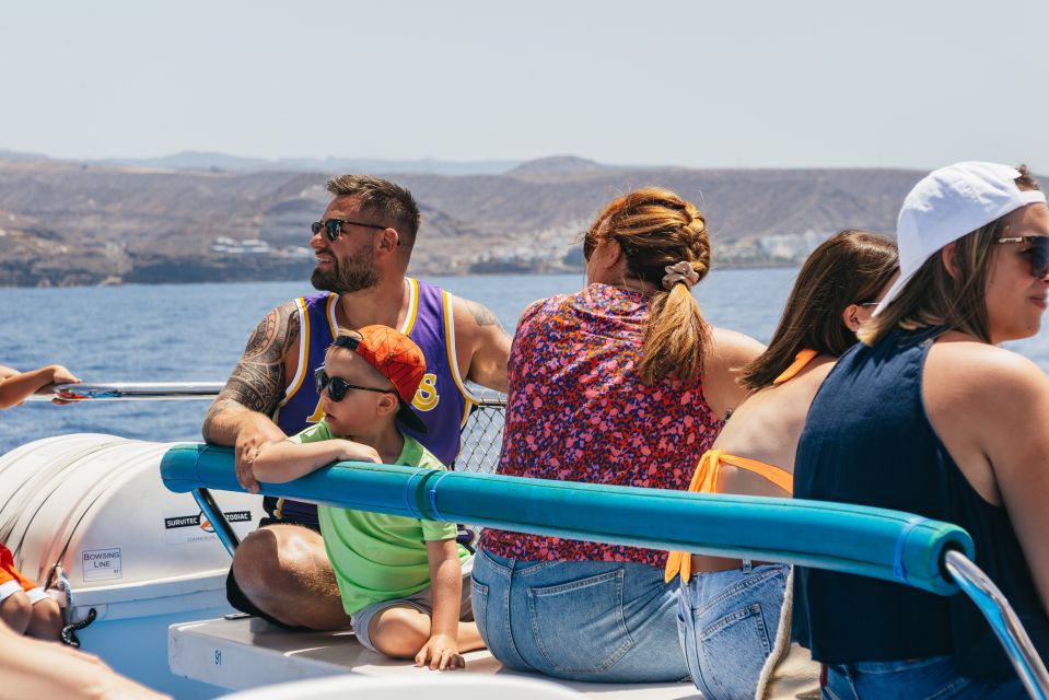 From Puerto Rico de Gran Canaria: Dolphin Watching Cruise - Key things to know before you go