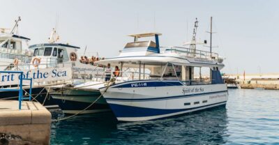 From Puerto Rico de Gran Canaria: Dolphin Watching Cruise - Spirit of the Sea: what this catamaran does well