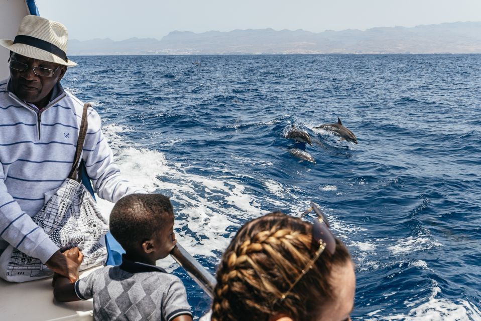 From Puerto Rico de Gran Canaria: Dolphin Watching Cruise - Seasickness reality check: the Atlantic can be rough