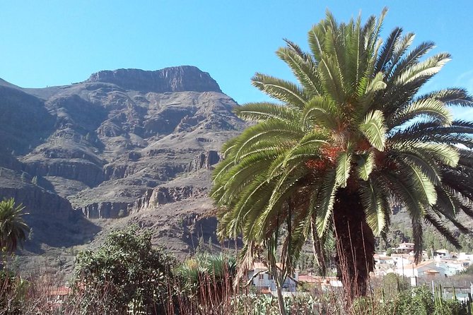 Full Day Across the Island Tour from Las Palmas - One across-island loop from Las Palmas (why this tour is worth your time)