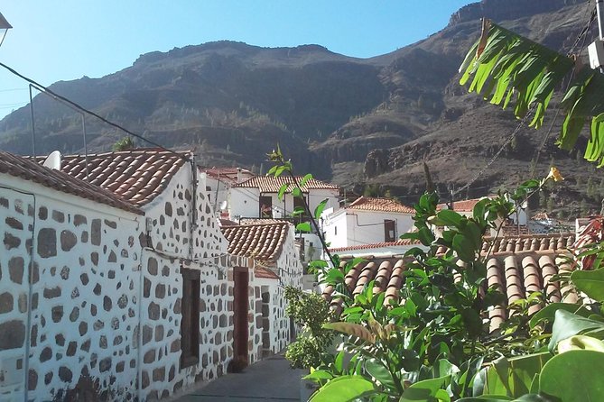 Full Day Across the Island Tour from Las Palmas - San Bartolomé de Tirajana: the mountain village museum stop