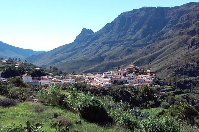 Full Day Across the Island Tour from Las Palmas - Fataga: the palm-filled oasis feel (and a real lunch window)
