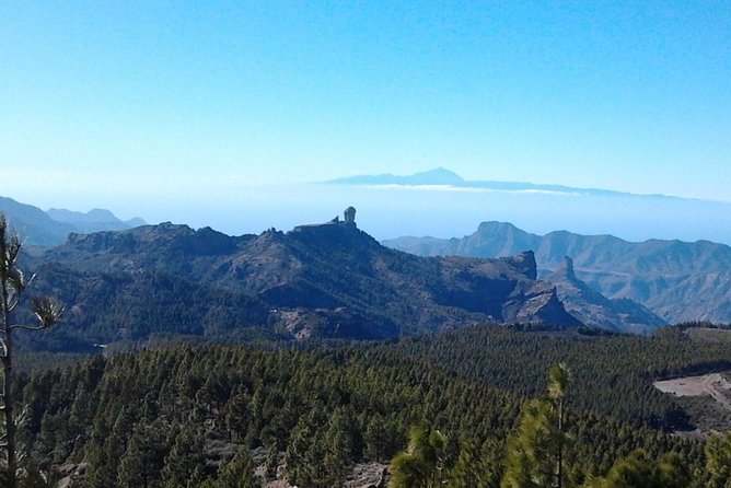 Full Day Across the Island Tour from Las Palmas - How the day actually feels: timing, comfort, and winding roads
