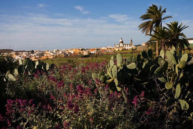 Full-Day Gran Canaria Island Tour - Cumbres - San Bartolomé de Tirajana: how the day lands back toward the coast