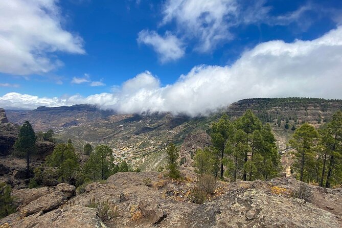 Full-Day Gran Canaria Tour with Teror, Tejeda and Lunch in Fataga - Tejeda: short stop, big looker energy