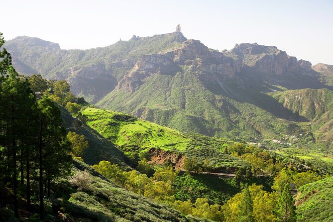 Full-Day Gran Canaria Tour with Teror, Tejeda and Lunch in Fataga - Roque Nublo and Roque Bentaiga: the photo stop that saves you driving