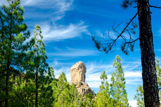 Full-Day Gran Canaria Tour with Teror, Tejeda and Lunch in Fataga - Fataga lunch at Tierra Guanche: where the day turns worthwhile