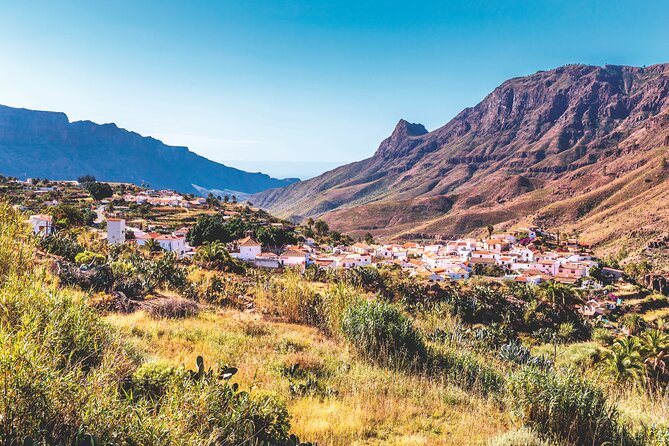 Full-Day Gran Canaria Tour with Teror, Tejeda and Lunch in Fataga - Teror: the basilica walk and why this village feels different