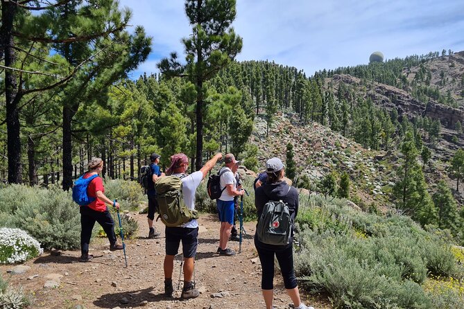 Full day Hiking Gran Canaria Peaks of Gran Canaria - Key highlights worth planning for
