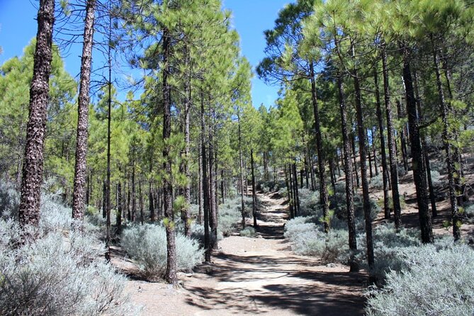 Full day Hiking Gran Canaria Peaks of Gran Canaria - From Maspalomas pickup to the start of your hike