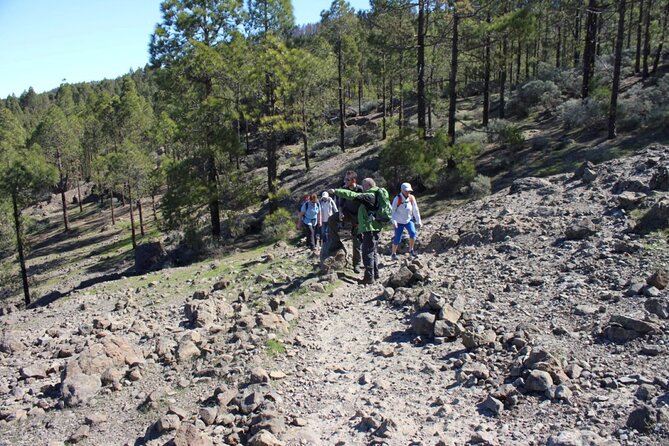 Full day Hiking Gran Canaria Peaks of Gran Canaria - What you’ll do on the mountain: guided stops and a sensible pace