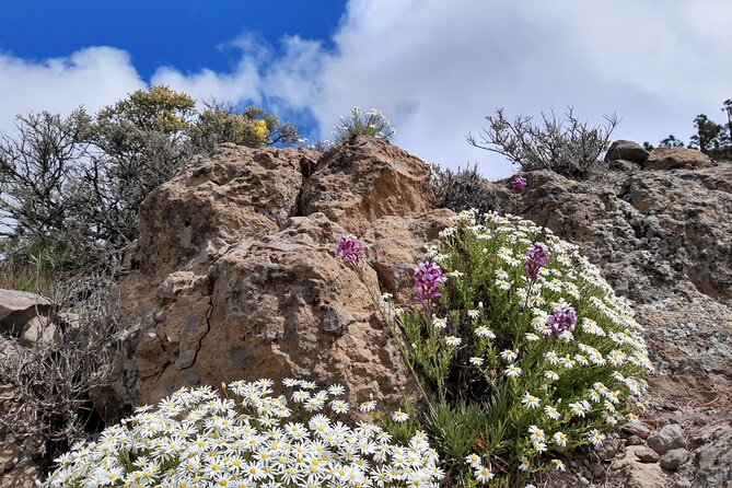 Full day Hiking Gran Canaria Peaks of Gran Canaria - How the day fits into a 9-hour schedule