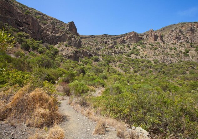 Gran Canaria 7 Highlights Small Group Tour with Tapas Picnic - Key highlights at a glance