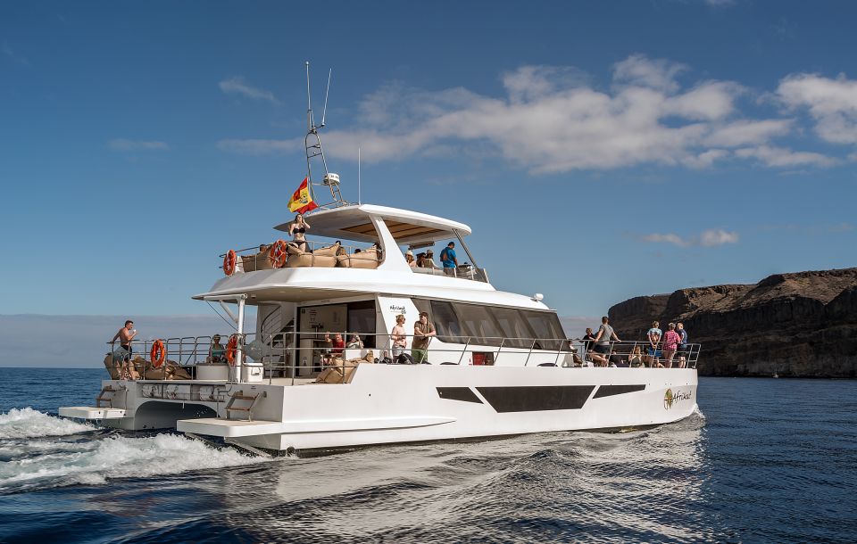 Gran Canaria: Afternoon Catamaran Cruise with Food & Drink - Should You Book This Afternoon Afrikat Catamaran Cruise?