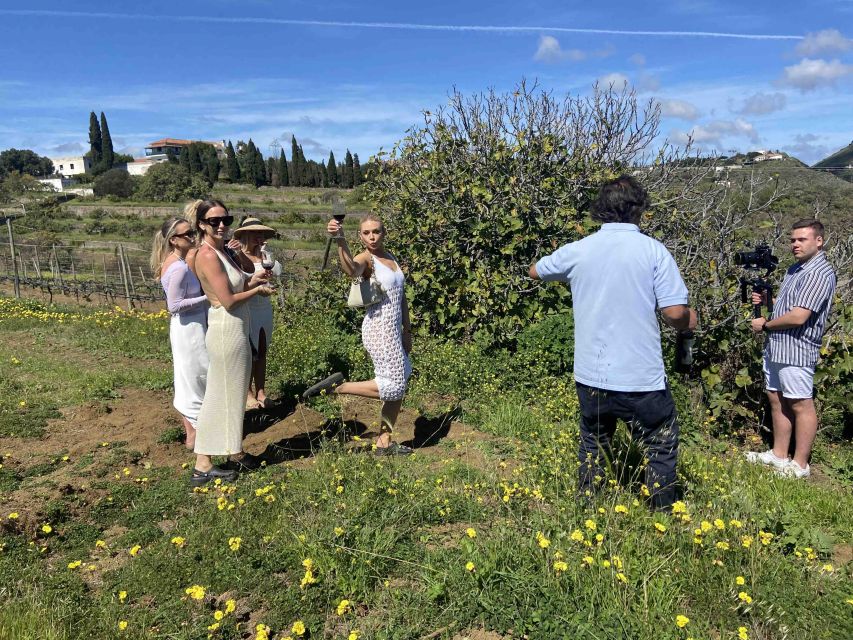 Gran Canaria: Best Wineries and Views Tour - Key highlights you should know before you go