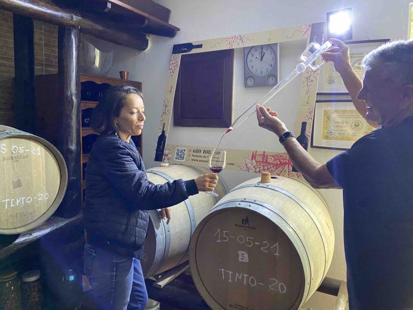 Gran Canaria: Best Wineries and Views Tour - Should you book this wine-and-views tour?