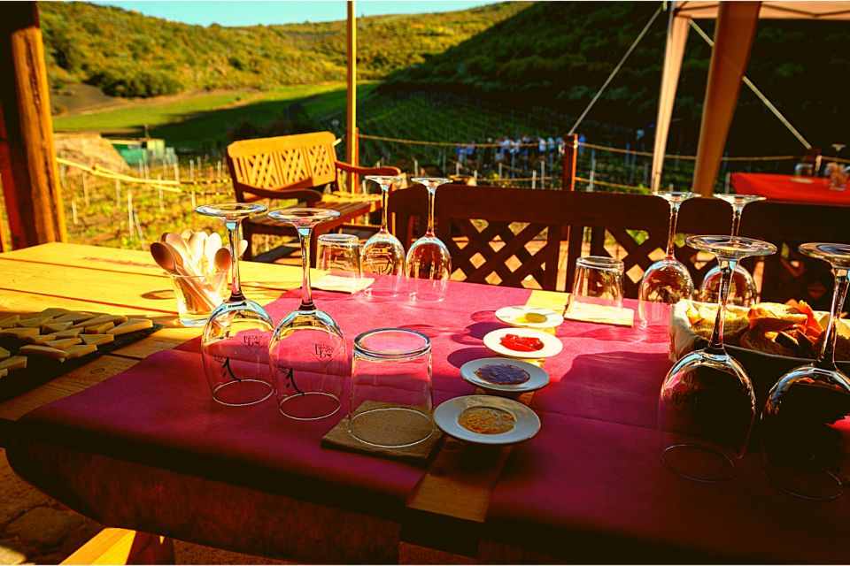 Gran Canaria: Best Wineries and Views Tour - What you’ll taste: local wines paired with Canarian comfort food