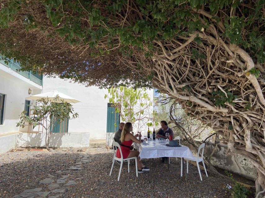 Gran Canaria: Best Wineries and Views Tour - The ride and pacing: plan for heat, short days, and occasional hiccups