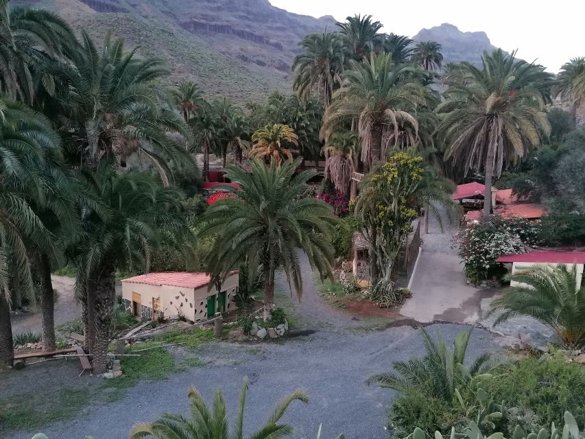 Gran Canaria: Camel Ride at Camel Safari Park - Should You Book Camel Safari Park In Maspalomas?