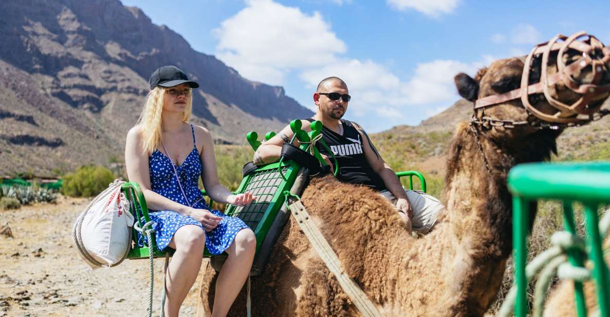 Gran Canaria: Camel Ride Safari w/ Optional Food & Transport - Why Fataga’s Oasis of the 1,000 Palms makes the ride different