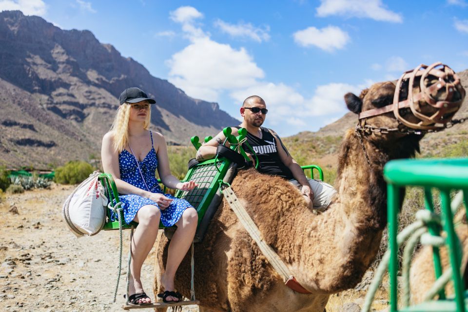 Gran Canaria: Camel Ride Safari w/ Optional Food & Transport - What the tapas add-on is really like (and what you might eat)