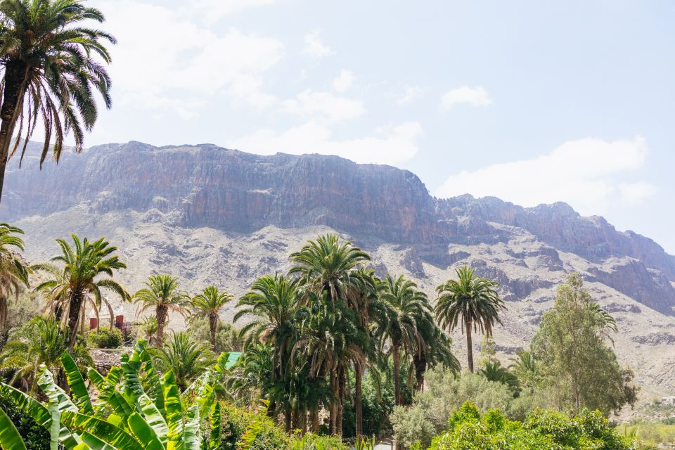 Gran Canaria: Camel Ride Safari w/ Optional Food & Transport - The 60-minute camel ride: pace, terrain, and how to stay comfortable
