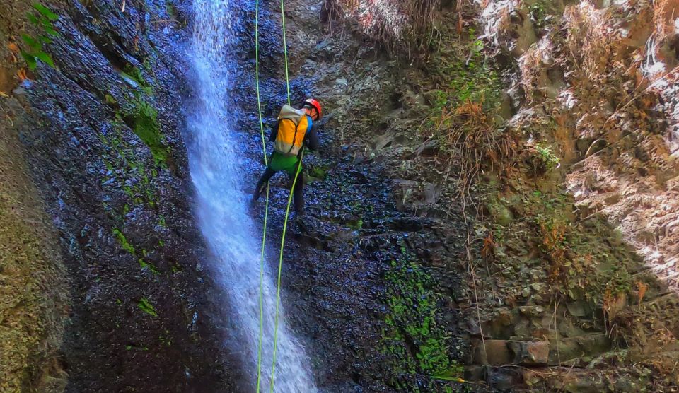 Gran Canaria: Canyoning Trip - Why this canyoning trip fits Gran Canaria so well