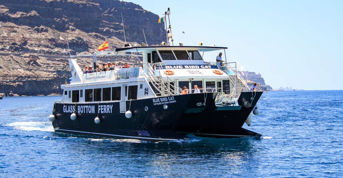Gran Canaria: Catamaran Dolphin Watch Cruise with Snorkeling - Quick takes before you go