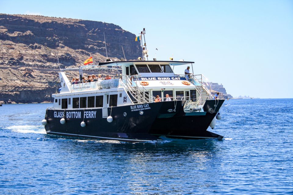 Gran Canaria: Catamaran Dolphin Watch Cruise with Snorkeling - Below-deck glass panels: ocean viewing when the water gets bumpy