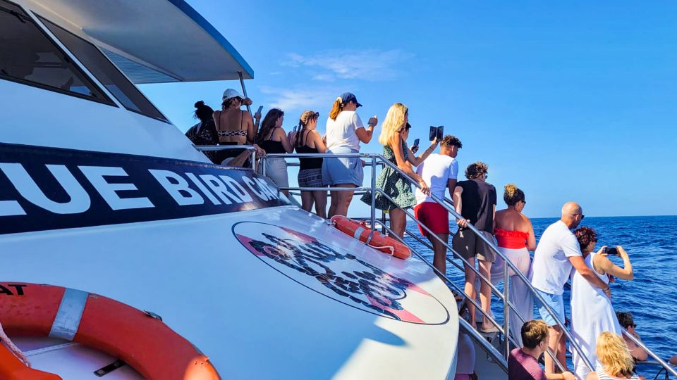 Gran Canaria: Catamaran Dolphin Watch Cruise with Snorkeling - Who should book this catamaran cruise on Gran Canaria