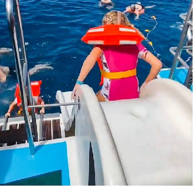 Gran Canaria: Catamaran Dolphin Watch Cruise with Snorkeling - Dolphin and whale watching off Gran Canaria: the real deal