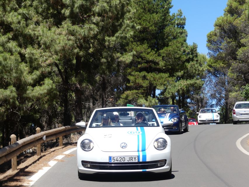 Gran Canaria: Convertible Beetle Tour - Quick hits before you book