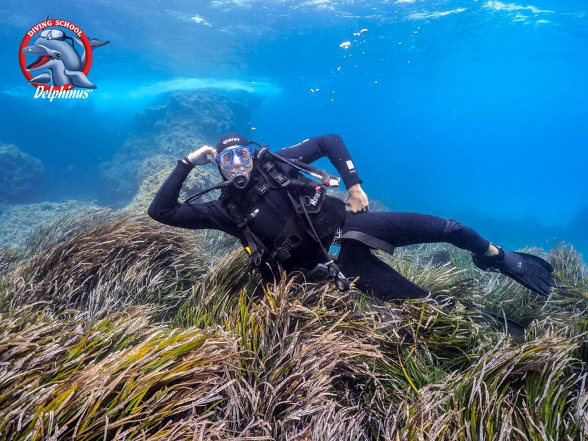 Gran Canaria: Discover Scuba Diving Beginner Program - Key Things That Matter Before You Go