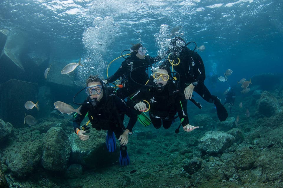 Gran Canaria: Discover Scuba Diving Beginner Program - Why This Beginner Program Feels Low-Stress