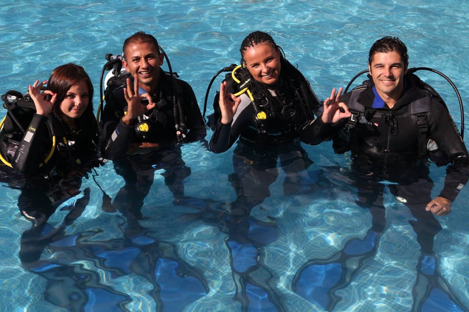 Gran Canaria: Discover Scuba Diving Beginner Program - The Atlantic Open-Water Swim: Sea Life Expectations (and Visibility Reality)