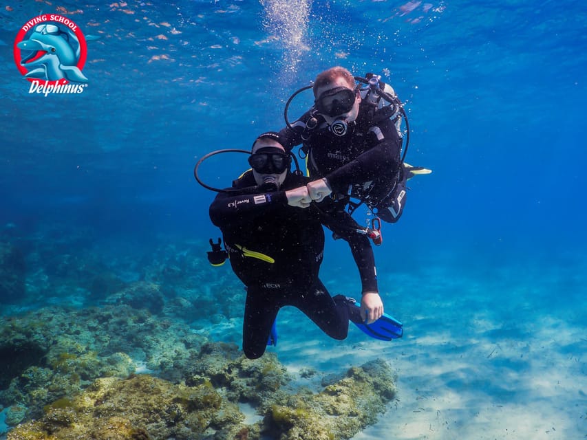 Gran Canaria: Discover Scuba Diving Beginner Program - Price and What You Actually Get for $117