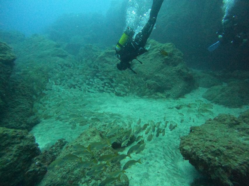 Gran Canaria: Discover Scuba Diving - Free Transfers - Training on land: learning to breathe calmly first