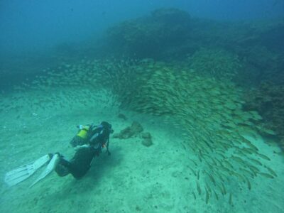 Gran Canaria: Discover Scuba Diving - Free Transfers - Pickup, van ride, gear fitting, and that pre-water coffee